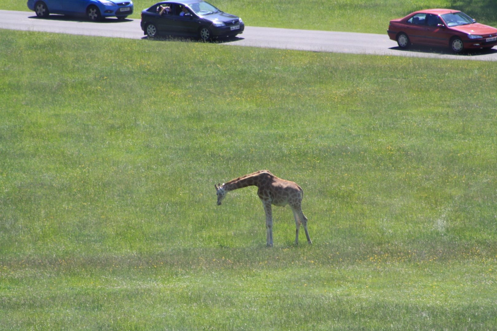 IMG_1092.JPG