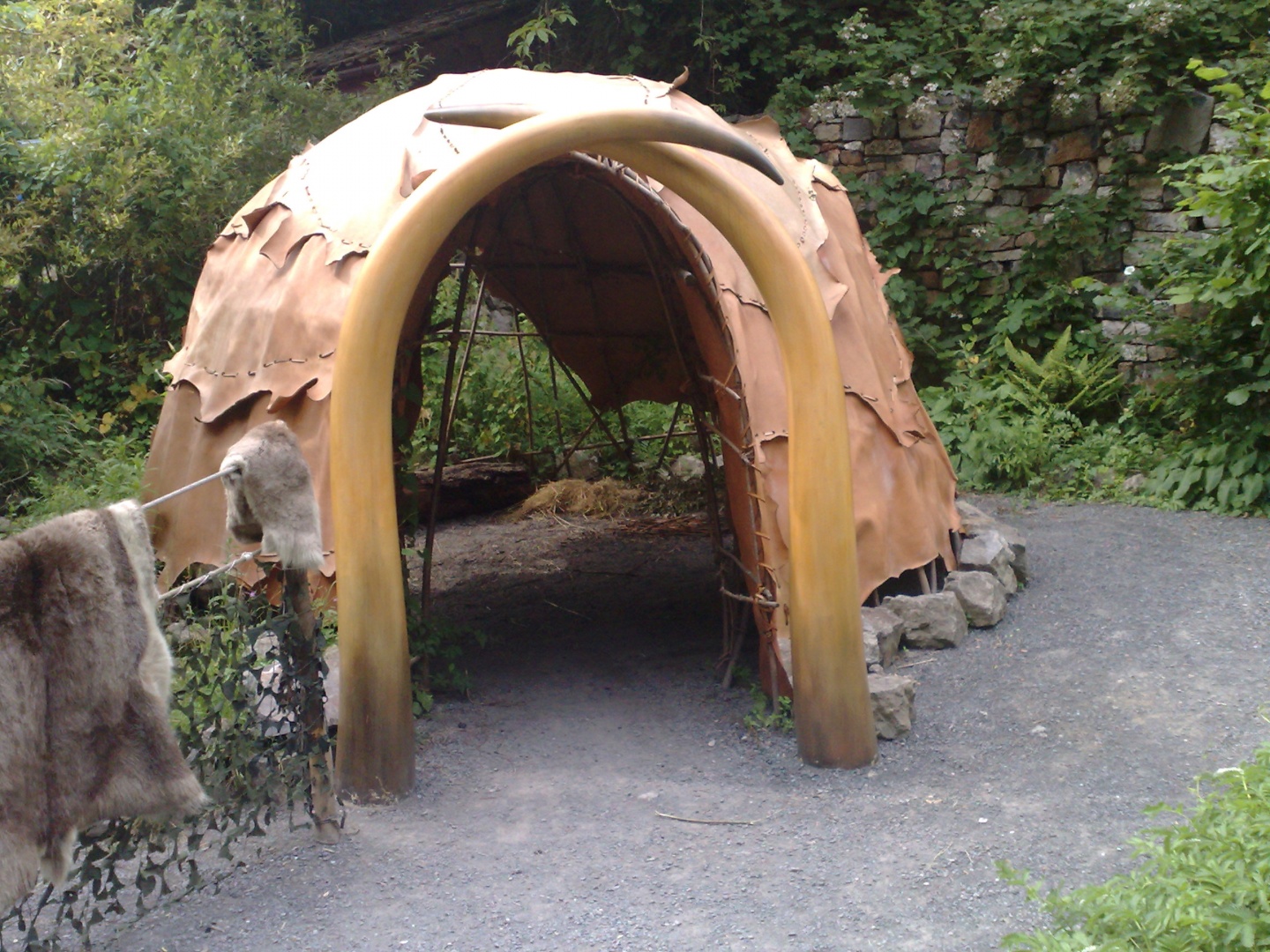 01072008062.jpg