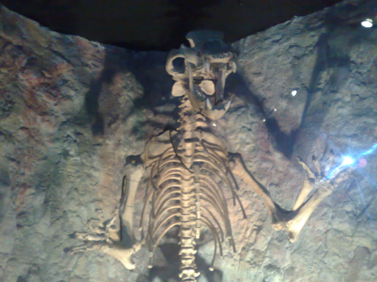 01072008071.jpg