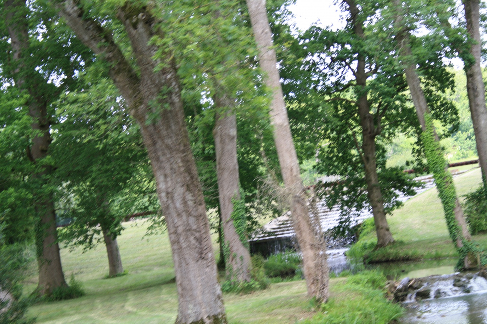 IMG_1415.JPG