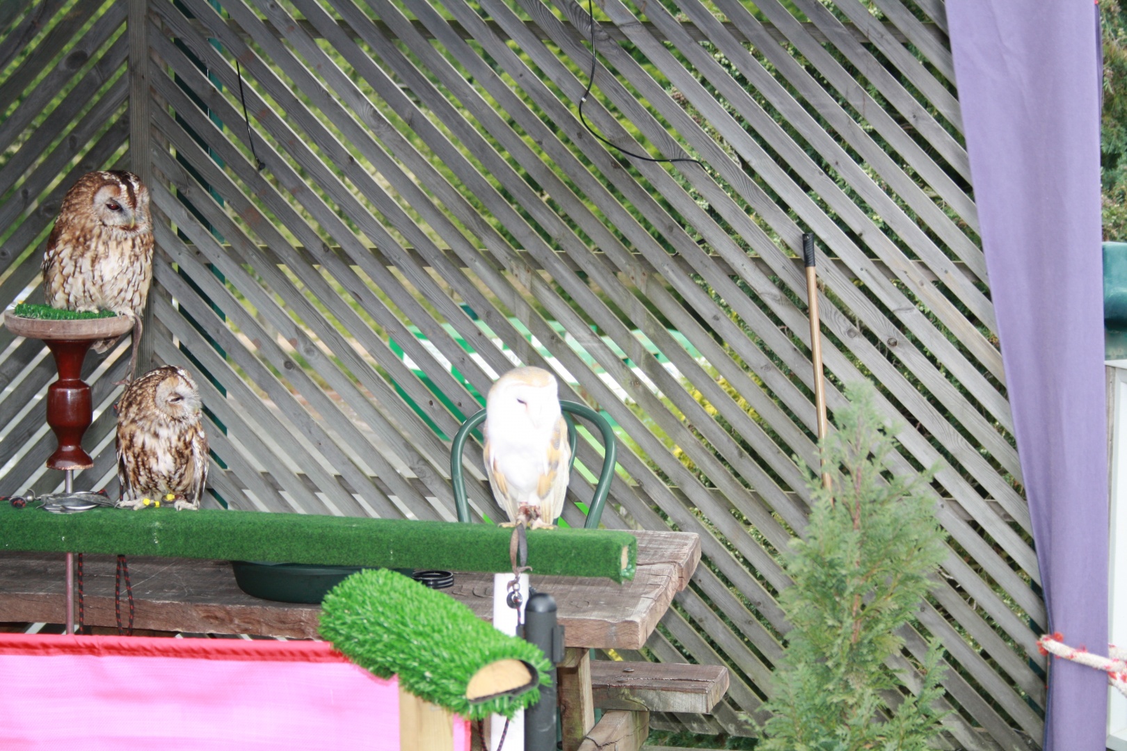 IMG_1586.JPG