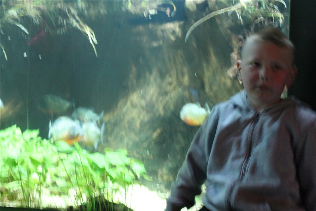IMG_2467.JPG
