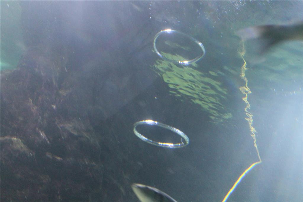 IMG_2493.JPG