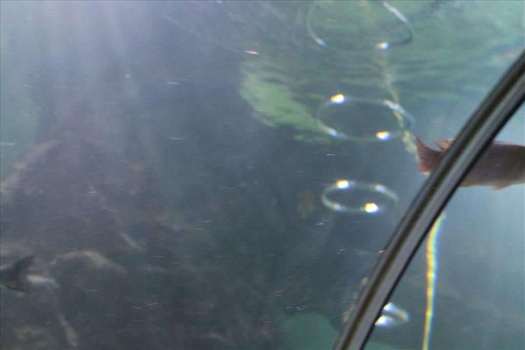IMG_2495.JPG