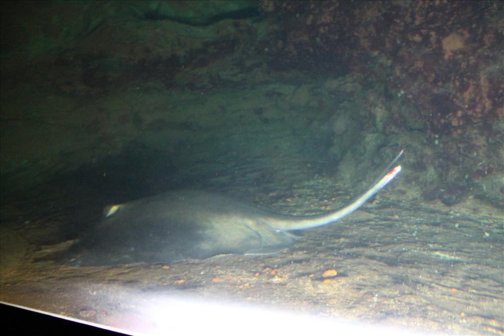IMG_2502.JPG