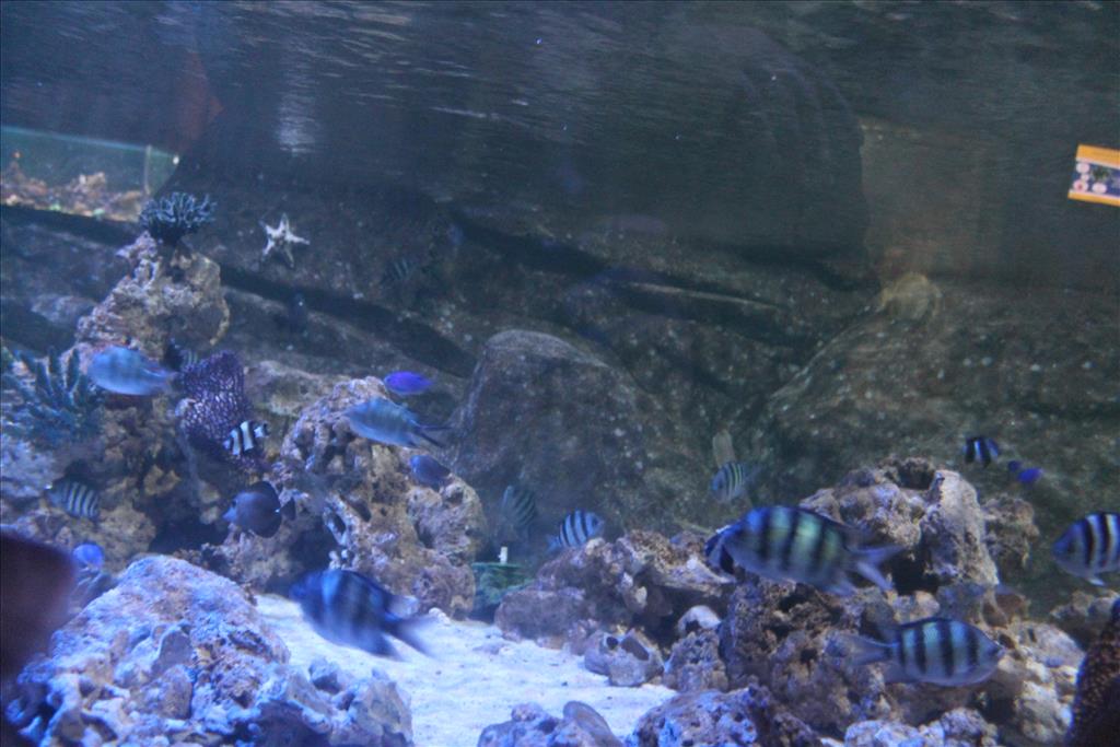 IMG_2549.JPG