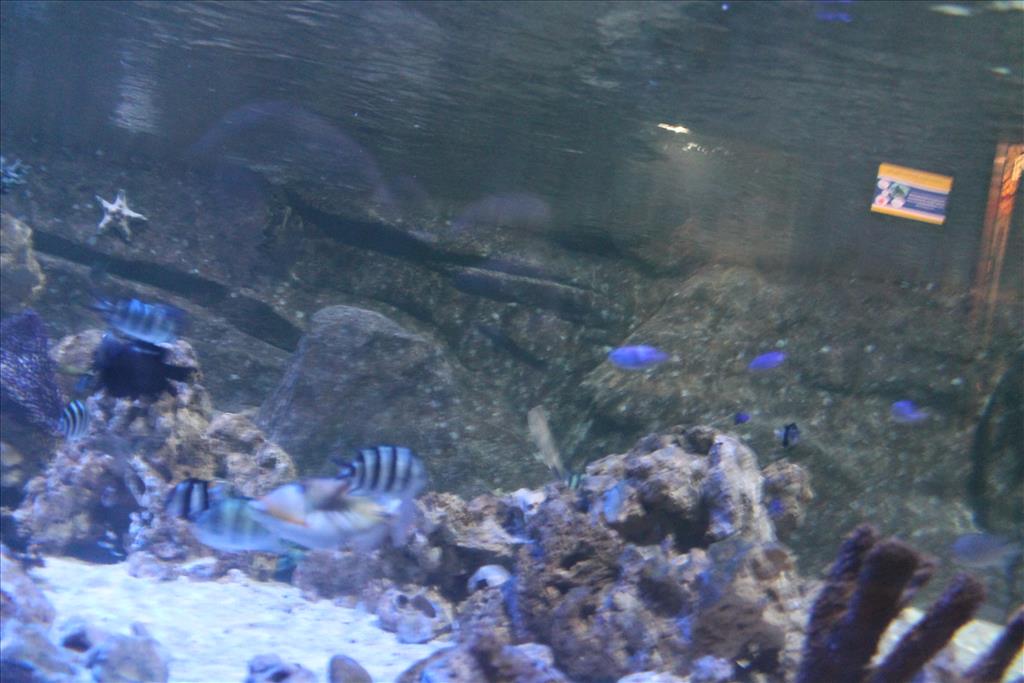 IMG_2551.JPG