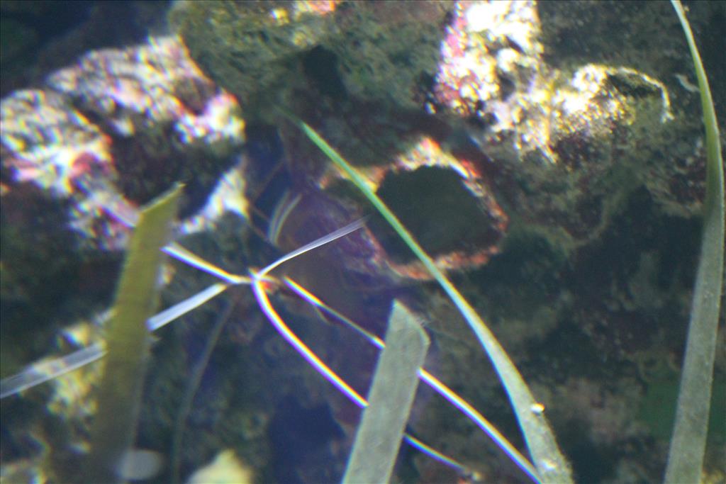 IMG_2598.JPG