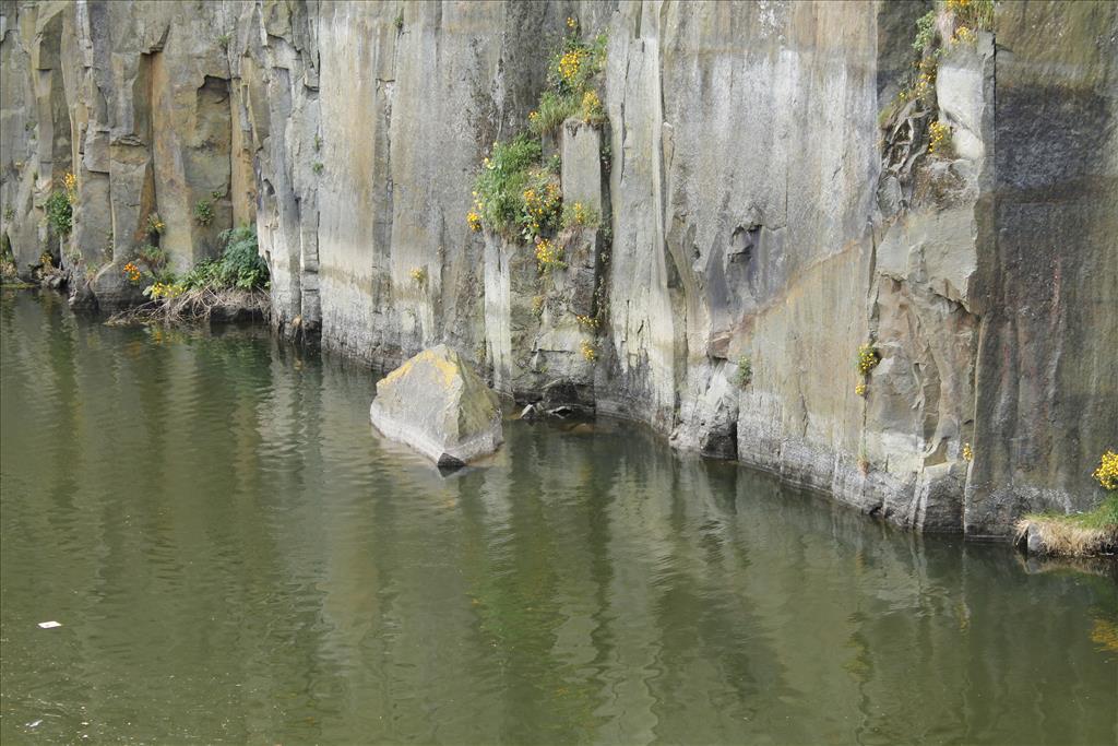 _MG_2426.JPG