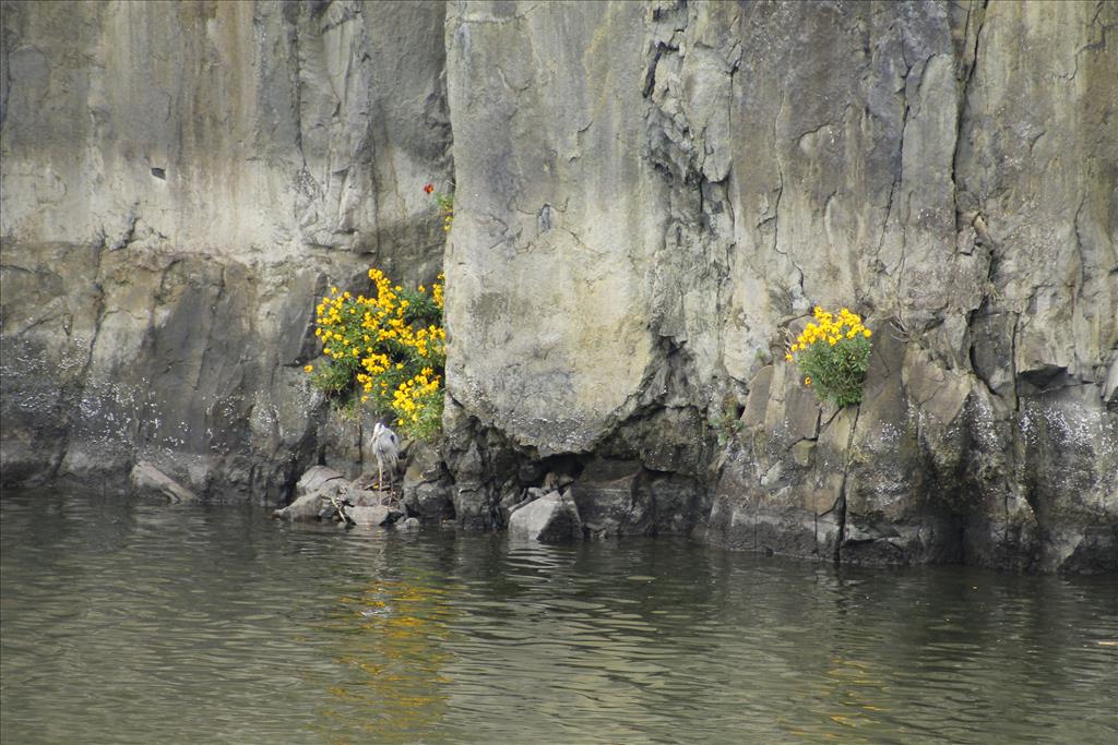 _MG_2431.JPG