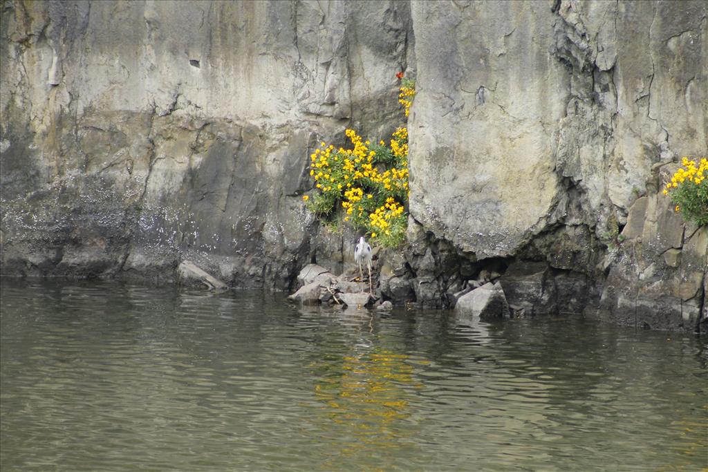 _MG_2433.JPG