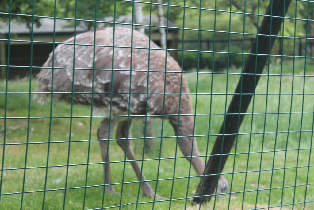 IMG_2944.jpg