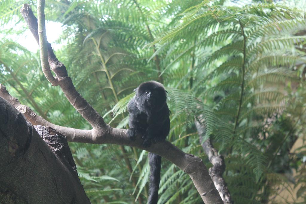 IMG_3004.jpg