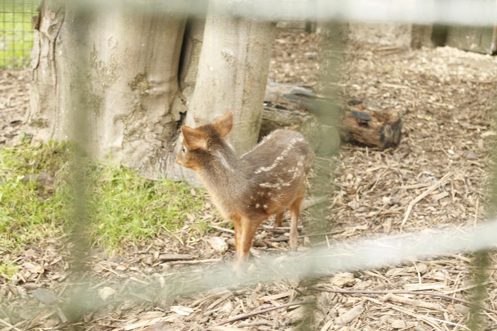 _MG_3208.jpg