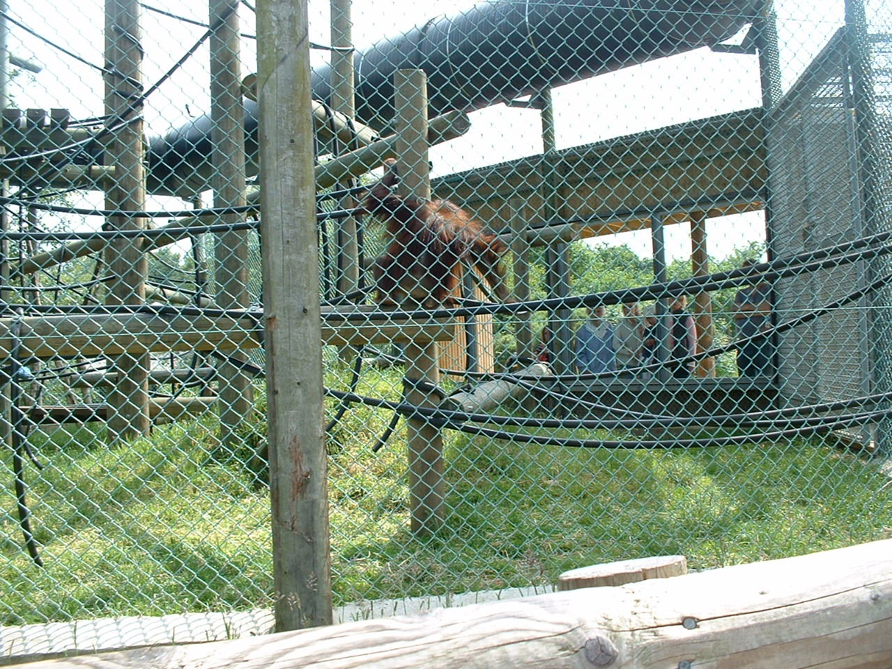 DSCF0059.JPG