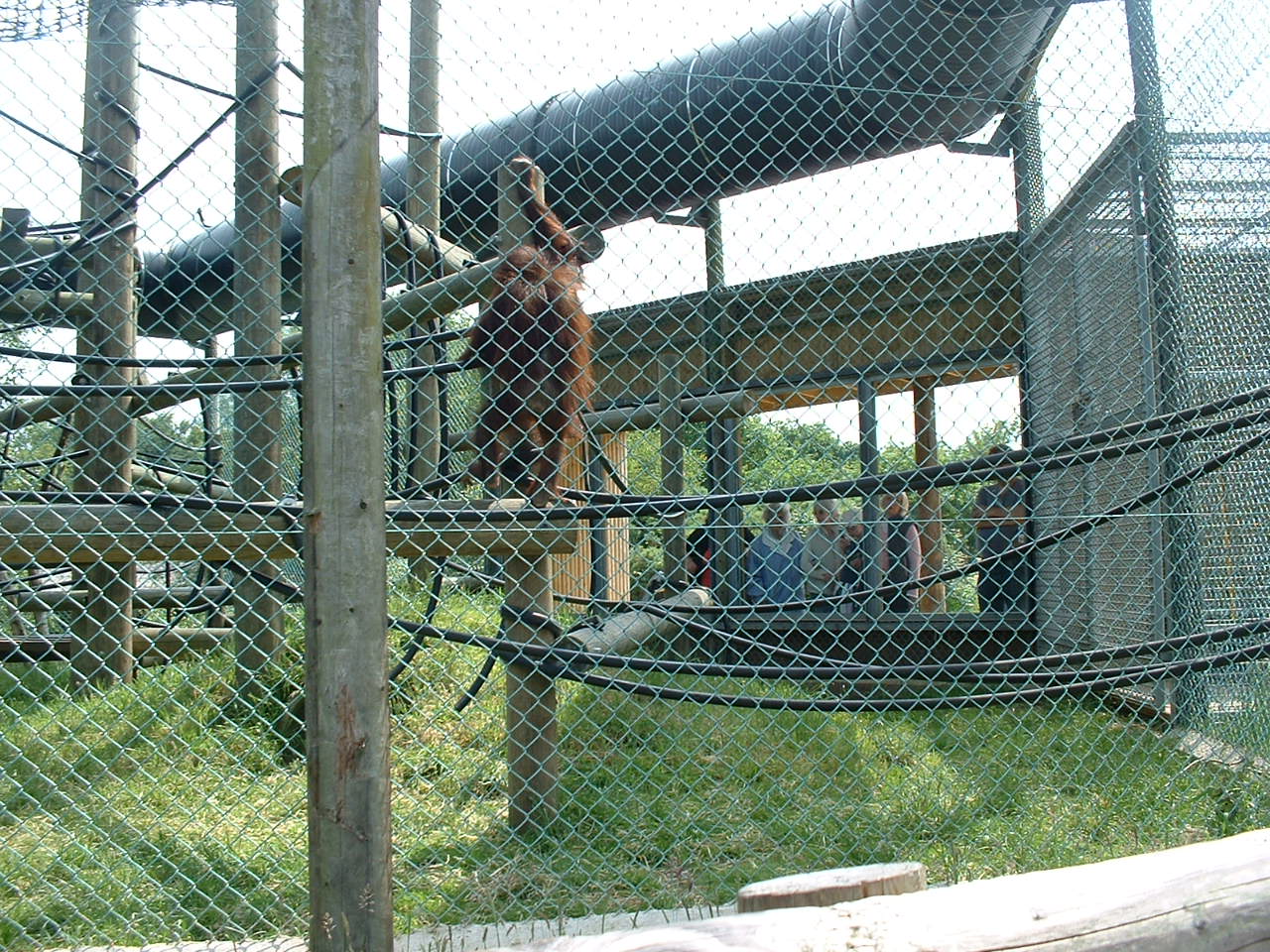 DSCF0060.JPG