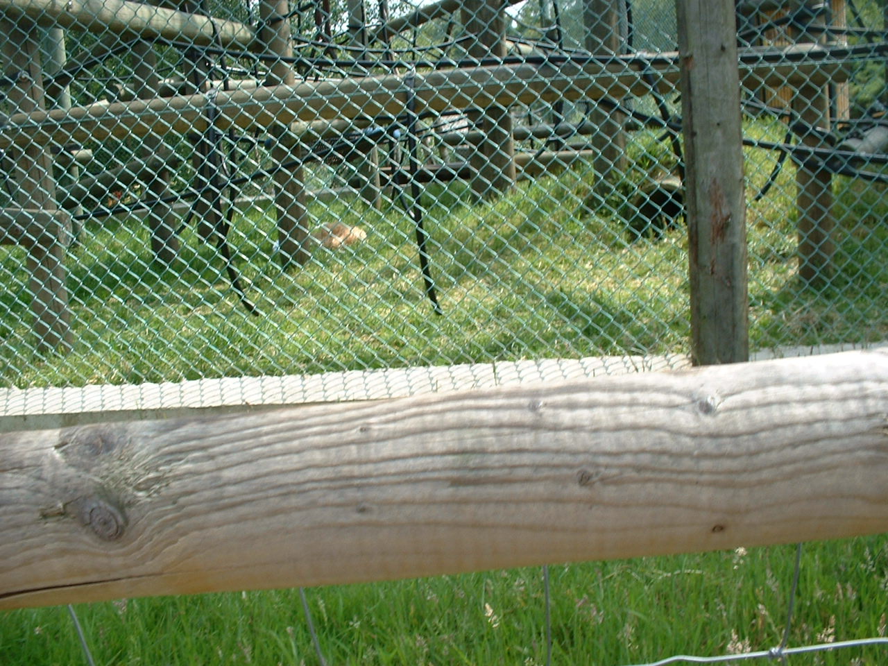 DSCF0061.JPG