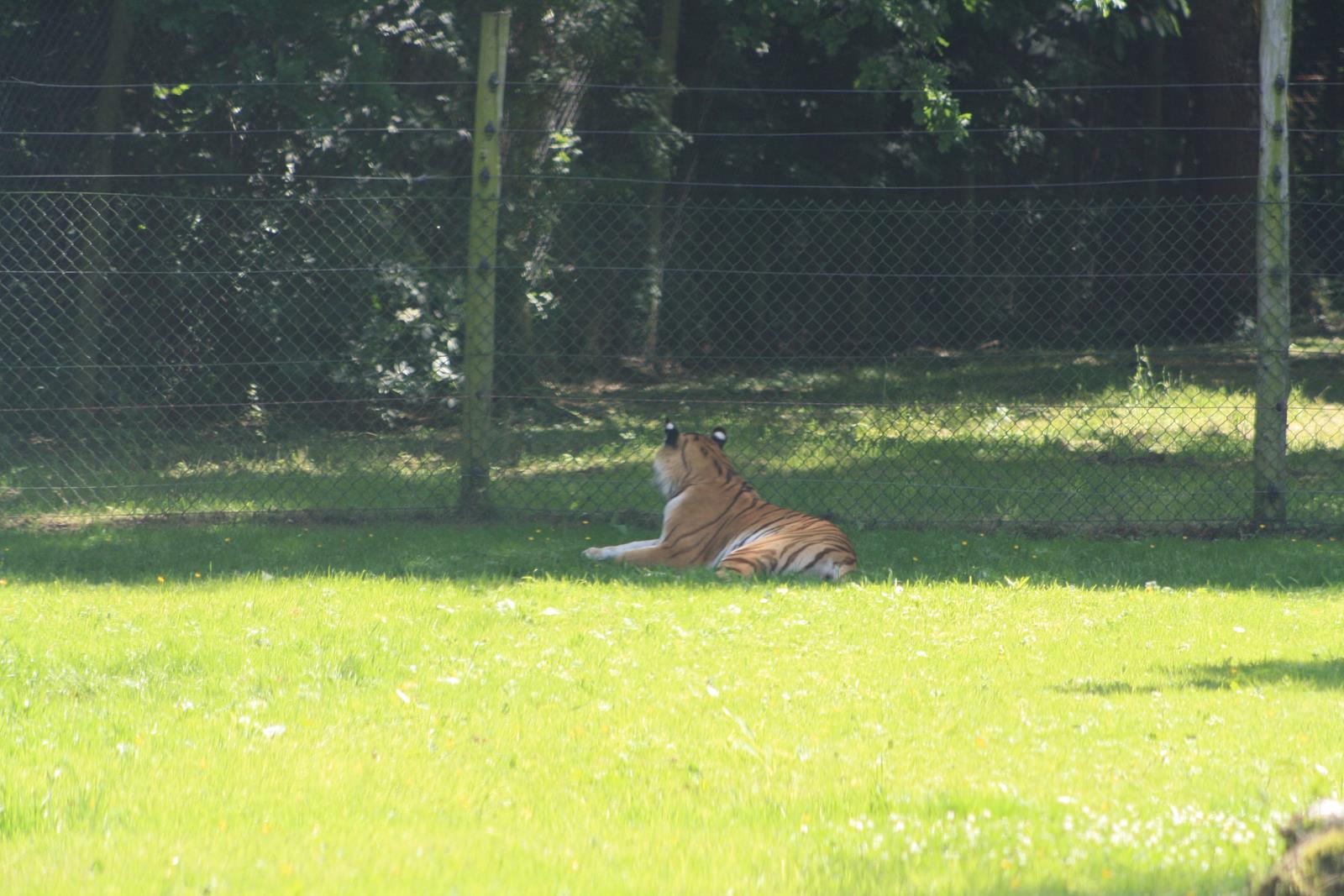 IMG_1247.jpg