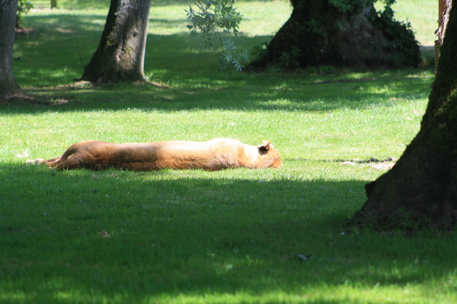 IMG_1257.jpg