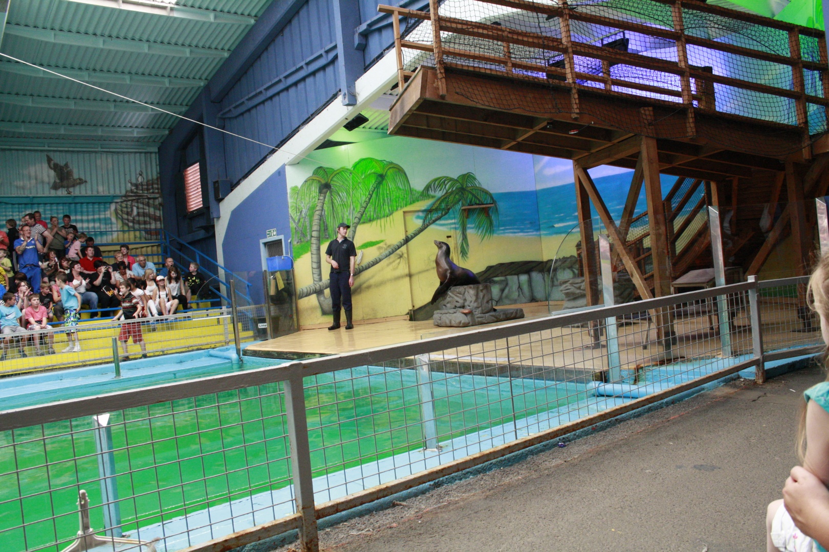 _MG_4217.JPG