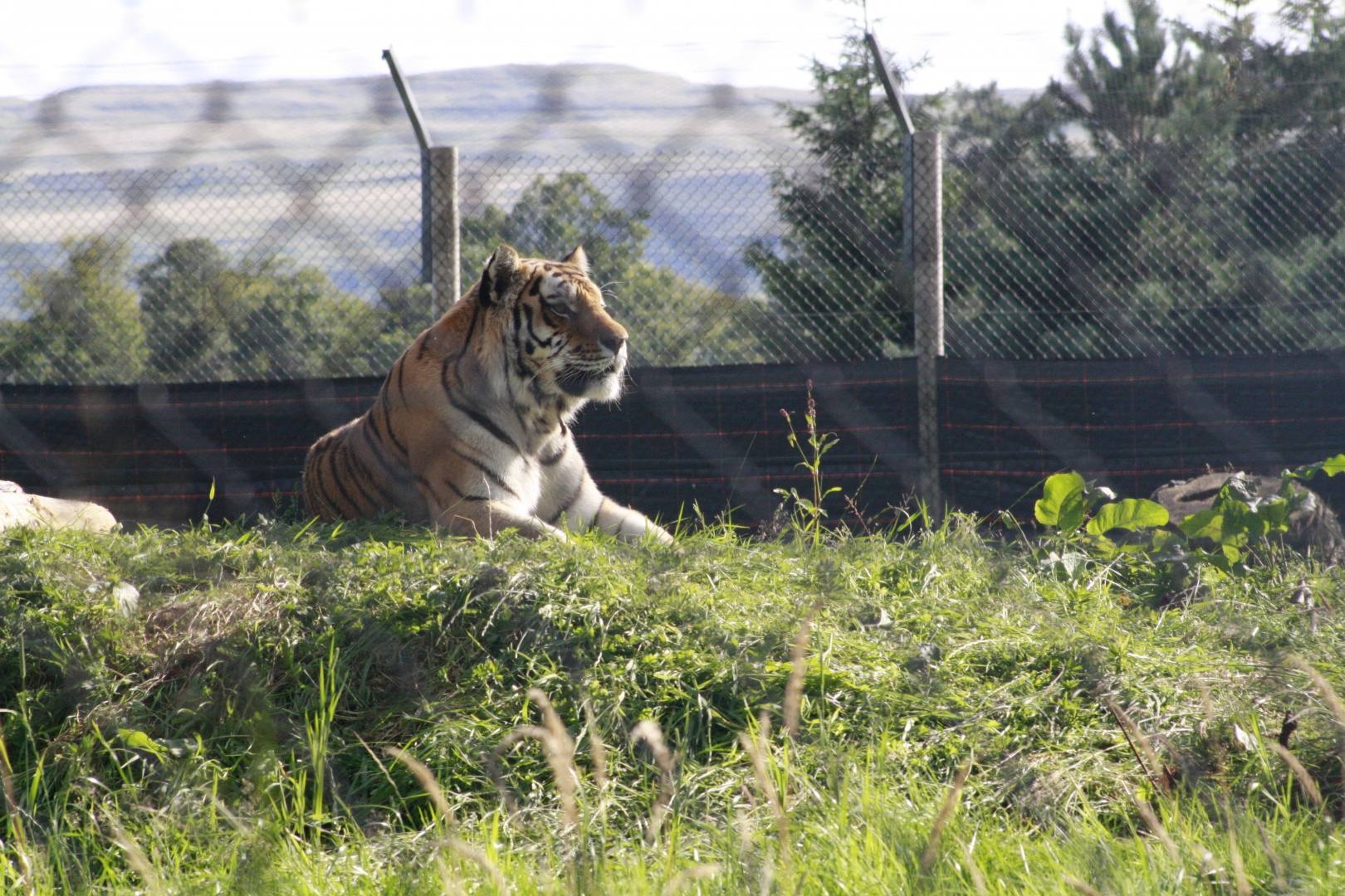 _MG_4236.JPG