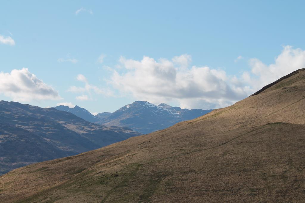 IMG_4676.JPG