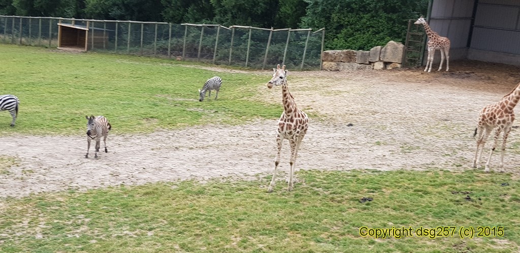 20180717_141207.jpg