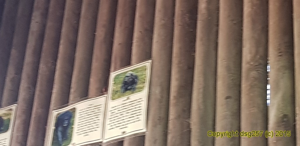 20180719_140243.jpg
