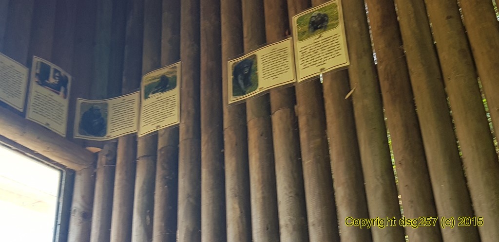 20180719_140324.jpg