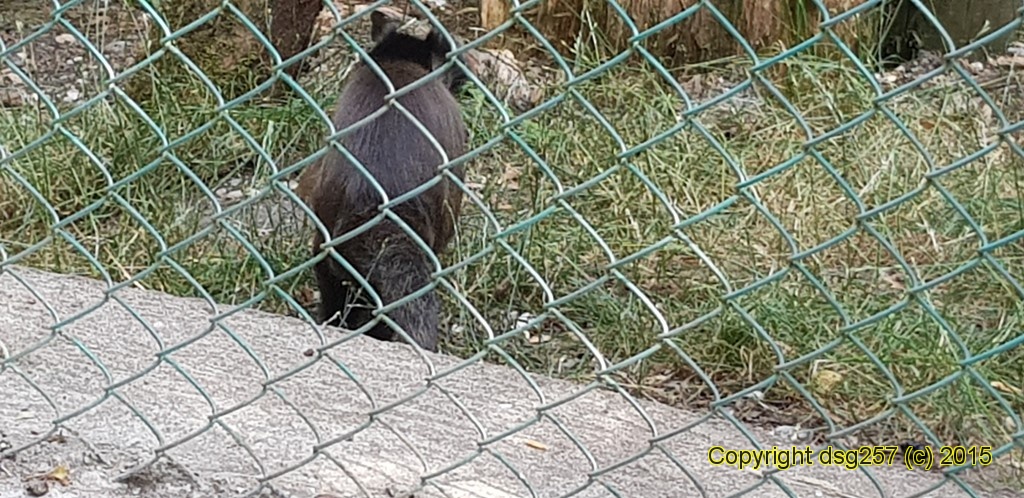20180719_141816.jpg