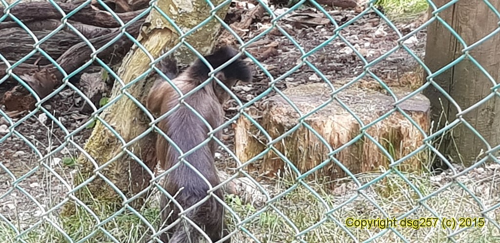 20180719_141832.jpg