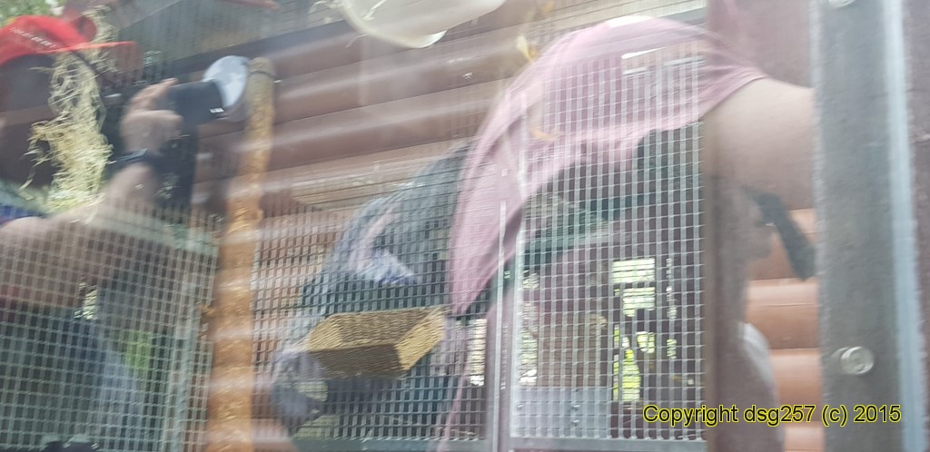 20180719_142443.jpg