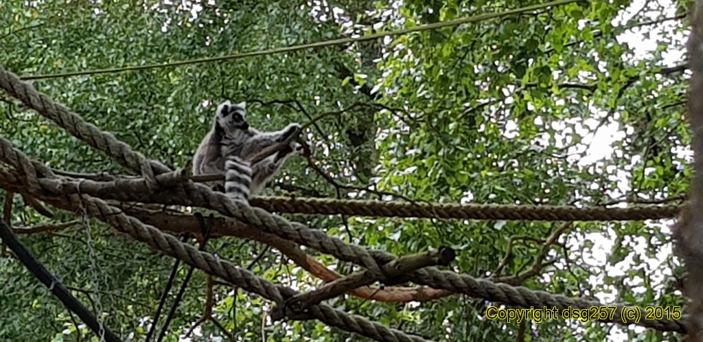 20180719_160807.jpg