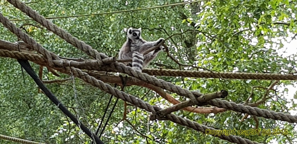20180719_160809.jpg