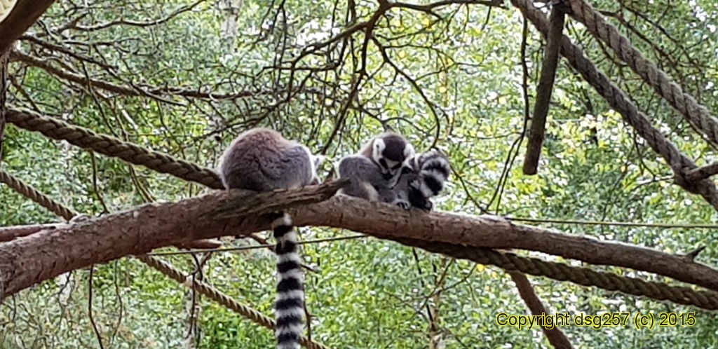 20180719_160813.jpg