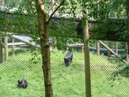 DSCF0014_267x200021111.png