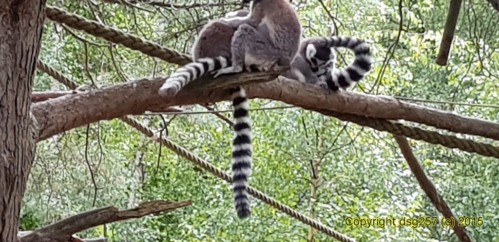 20180719_160829.jpg