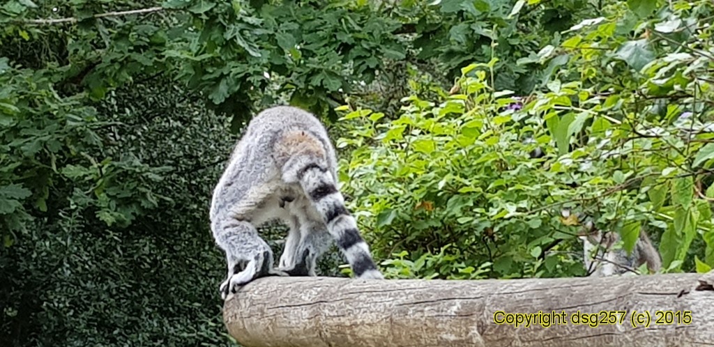 20180719_160933.jpg