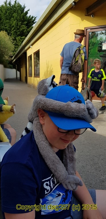 20180719_171221.jpg