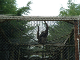 DSCF0042_267x200021111.png
