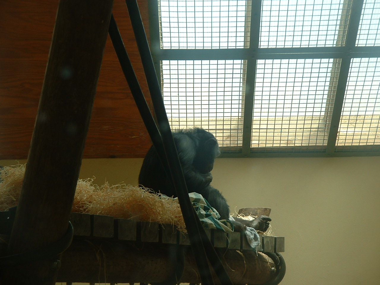 DSCF0007.JPG