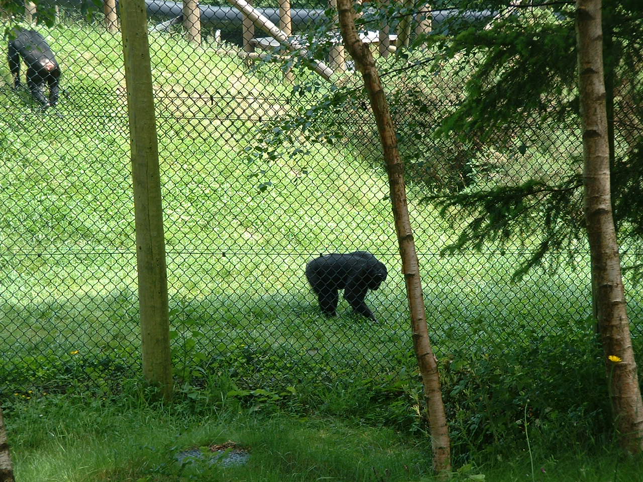 DSCF0013.JPG