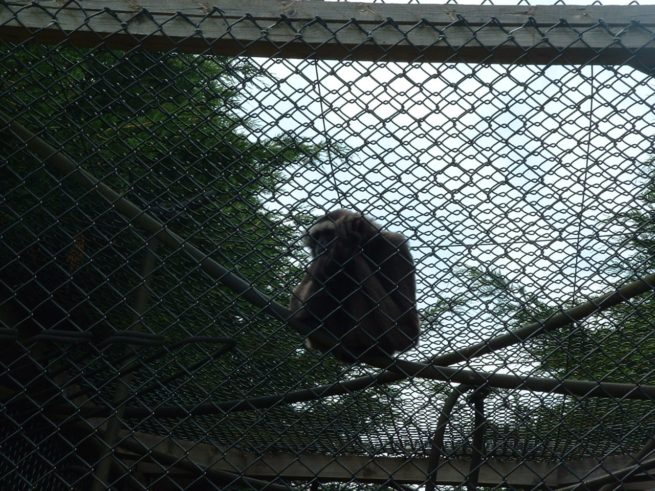 DSCF0043.JPG
