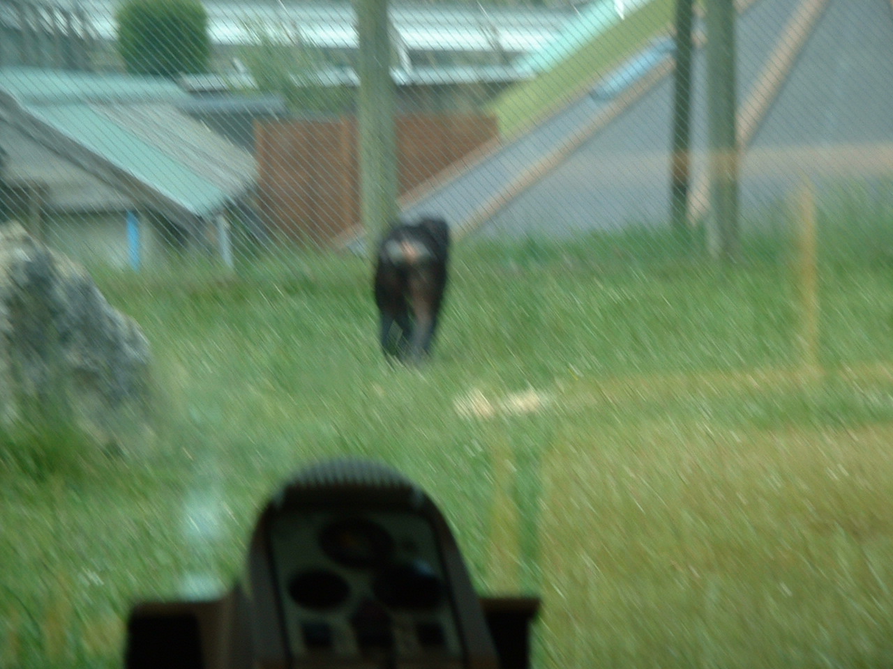 DSCF0067.JPG