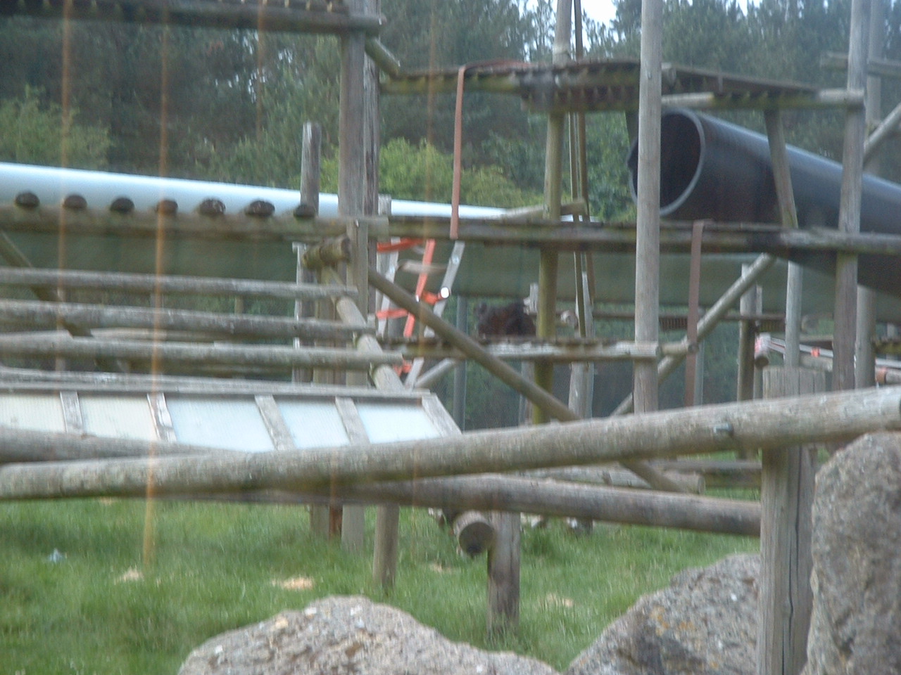 DSCF0069.JPG