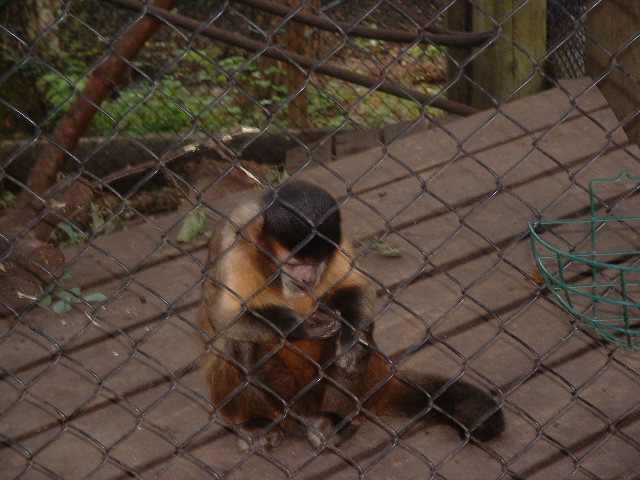 DSCF0111.JPG
