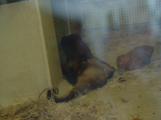 DSCF0117.JPG