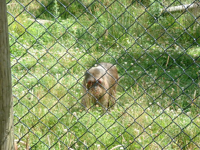 DSCF0143.JPG