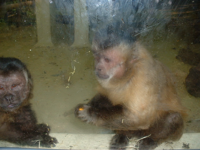 DSCF0155.JPG