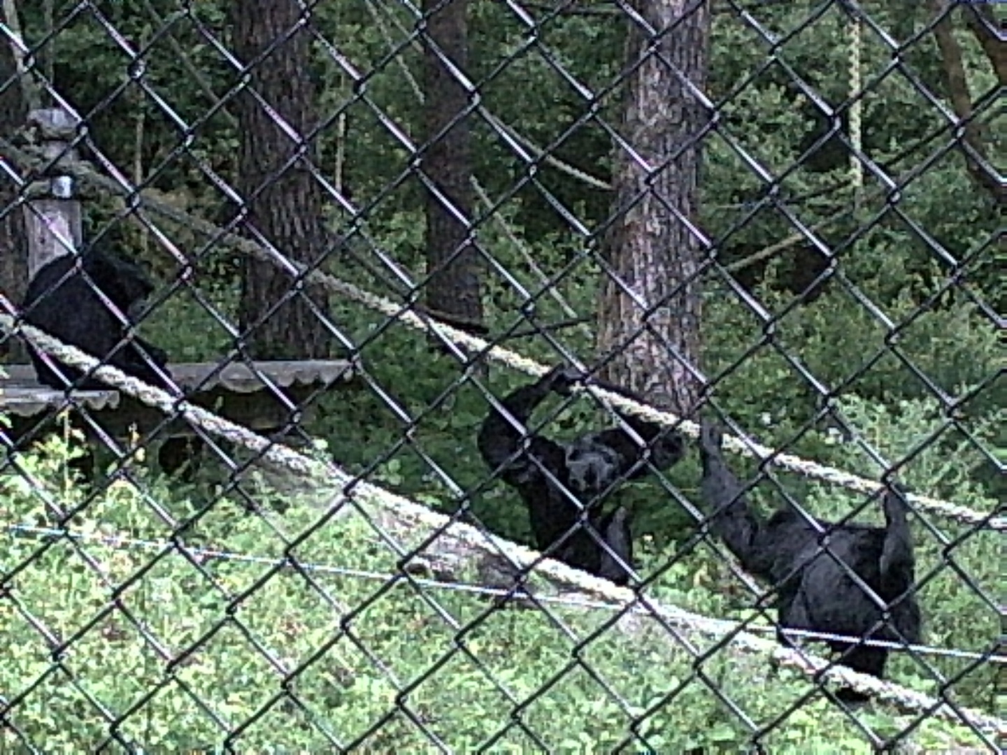 PIC00009.JPG